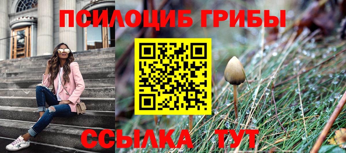 Псилоцибиновые грибы MAGIC MUSHROOMS Чернушка