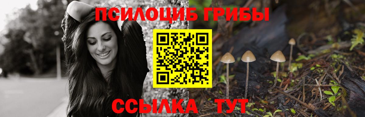 Чернушка  Галлюциногенные грибы Magic Shrooms  купить наркотики сайты  Вход с VPN 